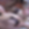 [FERRONETWORK.com / NylonScreen.com] Keith, Nicholas / g880 (15/11/2012) [2012, Russian, Oral, All Sex, Stockings, SiteRip, 720p] thumb