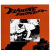 Flaming Frontier [1965] / MPEG2 / VOB IFO / DVD / SD / AC3 / Czech / Subs / KEKiO thumb
