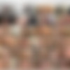 Gazzman's WhoreHouse /    (   ) (Gazzman, Harmony Films) [2010 ., Anal, Gang Bang, Facial, DP, MILF, Cum Swap, VOD](Adrianna Rossi, Alexa Andreas, Breanne Benson, Carla Cox, Kristi Lust) thumb