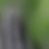 [MetArt.com] Katana / Grapes (25.11.2018) [asian, erotic, 720p, SiteRip] thumb