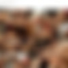 [HouseOfTaboo.com / DDFProd.com] Sasha Rose, Linet, Denisa Heaven (Neapolitan spank party! [Part 2] / 401p2) [2011 ., Lesbo, 3Some, Masturbation, Shaved pussy, Vibrator, Strap-on, Anal insertion, Bondage, Domination, Face sitting, 720p, HDRip] thumb