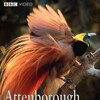Sir David Attenborough Specials 1971-2004 DVDRip XviD-EPiC thumb