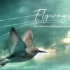 Flyways 2023 1080p WEB H264-CBFM thumb