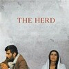 The Herd [1979] / H264 / MKV / DVD / SD / AC3 / Turkish / Subs thumb