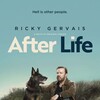 After Life S01 NORDiC 1080p WEB-DL H 264 DD5 1-TWA thumb