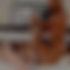 [OF-TriplexKale] Let Me Fuck Your Friend - Tiff Bannister & Evelin Stone 2023 [1080p] thumb