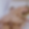 [Vixen.com] Natalia Starr (Hot For TA / 13.02.2017) [2017 ., Creampie,Pussy licking,Blonde,Riding,Doggystyle,Reverse cowgirl,Blowjob,Deep throat, 1080p] thumb