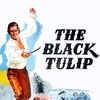 The Black Tulip [1964] / H264 / MKV / Blu-ray / 1080p / DTS / French / Subs thumb