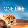 One Life [2011] / H264 / MKV / Blu-ray / 720p / DTS / Scene / BiRDHOUSE thumb