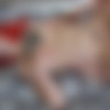 [MyDirtyHobby] Lara-CumKitten - Super DIRTY - Zwei nasse Fotzen lecken sich geil thumb