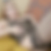 [Anilos.com] Alika Alba - Ready For Anything 15.12.20 [2020 ., Solo, Blonde, European, High Heels, Lingerie, Long hair, Shaved Pussy, Small Boobs, Stockings, 1080p] thumb
