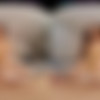 [VRAllure.com] Angelina Moon - Net Down Cock Up [07.01.2025, Asian, Brunette, Close Ups, Fingering, Garter Belt, Long Hair, Magic Wand, Masturbation, no Male, Petite, Pov Kissing, Shaved Pussy, Slim, Small Tits, Solo Models, Tommy Torso, Virtual Reality, SideBySide, 8K, 4096p, SiteRip] [Oculus Rift / Quest 2 / Vive] thumb