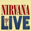 Nirvana: Live And Loud [1993] / H264 / MKV / DVD / SD / AC3 thumb
