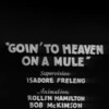 Goin' to Heaven on a Mule [1934] / H264 / MKV / VHS / SD / AAC thumb