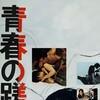Bitterness of Youth [1974] / H264 / MKV / DVD / SD / AC3 / Japanese / Subs / RR thumb