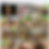 Aktuell Inzest Bericht /    (KT Production) [2006 ., Incestsex, Amateur, DVDRip] thumb