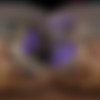 [VRHush.com] Katie Kush (Dancing & Mounting) [2025 ., Hardcore, All Sex, VR, 8k, 3840p] [Oculus Rift / Vive] thumb