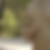 [MetArtX.com] Foxy Alissa (My Favourite Place 2) [2022-01-01, Nude, Posing, Solo, 1080p] thumb