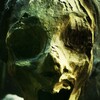Science Of Death [2001] / H264 / MKV / WEB / 1080p / AC3 / Subs / CBX thumb