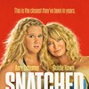Snatched 2017 1080p BluRay x264-OFT thumb