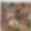 Titty Bangers /   (Rick Davis, 818 XXX) [2008 ., All Sex, Big Tits, Big Boobs, DVDRip] (Nikki Benz, Cody Lane, Carolyn Reese, Aliana Love, Velicity Von) thumb