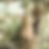 [VivThomas.com / MetArt.com] Lena Love & Michelle H (The Initiation of a Maid Episode 2 - Dawning) [2016 ., Lesbian sex, Mature, Red Hair, Cunnilingus, Fingering, Kissing, 2160p, 4k] thumb