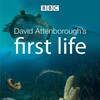 Sir David Attenborough First Life 2010 DVDRip XviD-aAF thumb