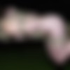 [HardTied.com] Tyler (aka Tyler Scot), 411 - Tyler File 1 (INSEX - Remastered) (25.07.2022) [2022 ., BDSM, Bondage, Dildo, Vibrator, Outdoor, Cigarette Torture, SiteRip, 2160p] thumb