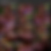 [PlayboyPlus.com]  2008  (501 ) [Erotic, Solo, Nude, Posing, 720p, 1080p, SiteRip] thumb