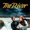 The River [1984] / H264 / MKV / HD-DVD / 1080p / AC3 / Subs / Scene / FSiHD thumb