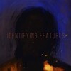 Identifying Features [2020] / H264 / MKV / WEB / 1080p / AC3 / Spanish / Subs / WELP thumb