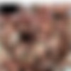 American Cocksucking Sluts /    (Mike Adriano, Evil Angel Video) [2011 ., Gonzo, WEB-DL, 1080p] (Breanne Benson, Brooklyn Lee, Gracie Glam, Juelz Ventura, Kagney Lynn Karter, Lexi Belle, Lizz Tayler) [Split Scenes] thumb