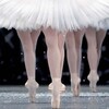 La Danse: The Paris Opera Ballet [2009] / Xvid / AVI / Unknown / SD / MP3 thumb