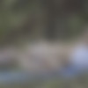 [MetArtX.com] Foxy Alissa (Yoga 2) [2021-12-02, Nude, Posing, Solo, Mastrubation, 2160p] thumb