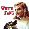 White Fang [1973] / H264 / MKV / WEB / 1080p / AC3 / Italian / Subs thumb