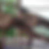 [Hegre.com] 2019-10-29 Clover & Natalia A - Nude Yoga In Bali [Erotic, Posing, 1080p] thumb