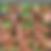 Playdaddy.com - Partial Siterip thumb