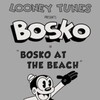 Bosko at the Beach [1932] / MPEG2 / MKV / DVD / SD / AC3 thumb