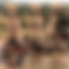 facefucking.com/facialabuse.com contiuaton SD scenes 450-492 thumbnail