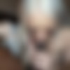 [OF-NicholeSaphir] BBC Fucking me 2024 [1080p] thumb