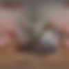 [VRCosplayX.com] Summer Hart - Dragon Age: The Veilguard A XXX Parody [06.03.2025, Big Ass, Big Tits, Blowjob, Brunette, Cowgirl, Curvy, Doggy Style, Facial, Fantasy, Missionary, Reverse Cowgirl, Titty Fuck, Videogame, Virtual Reality, SideBySide, 8K, 4096p, SiteRip] [Oculus Rift / Quest 2 / Vive] thumb
