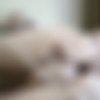 [manyvids.com] KsuColt - Anal eXtreme 4. CUSTOM [2018 ., Anal, BBC, Gape, Huge Dildo, Lotion/Oil Fetish, 1080p, SiteRip] thumb