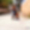 [SexoenPublico.com/Culioneros.com] Jordan Pryce ( Fucked hard in public) [07.09.2012 ., All Sex, Fetish, Busty, Oral, 720p] thumbnail