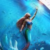 The Little Mermaid [2023] / H264 / MKV / WEB / 720p / AC3 / Subs thumb