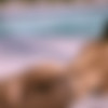 [Playboyplus.com] Kira Noir in 4k (3 ) [2022 ., Erotic, Posing, Lingerie, Softcore, Big tits, Dream, Glamour][2160p] thumb
