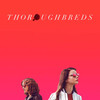 Thoroughbreds [2018] / H264 / MKV / Blu-ray / 1080p / FLAC / Subs thumb