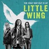 Little Wing 2024 1080p AMZN WEB-DL DDP5 1 H 264-FLUX thumb