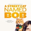 A Street Cat Named Bob 2016 1080p BluRay x265-RARBG thumb