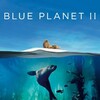 Blue Planet II 2017 2160p UHD Blu-ray HEVC DTS-HD MA 5 1 thumb