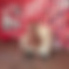 [ALSAngels.com] Cherry Kiss (Shoot #3 UHD #008) 4K [2021-02-04, Photoshoot, bts, pussy gape, anal gape, dildo, objekt insertion, anal speculum, natural, 2160p] thumb